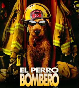 Firehouse Dog