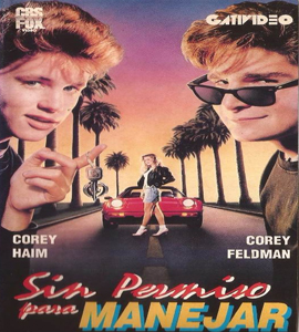 License to Drive