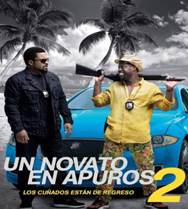Ride Along 2
