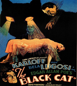 The Black Cat