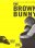 The Brown Bunny