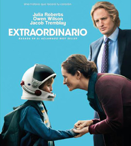 Wonder