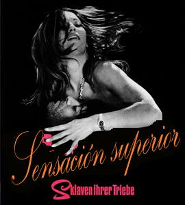Top Sensation